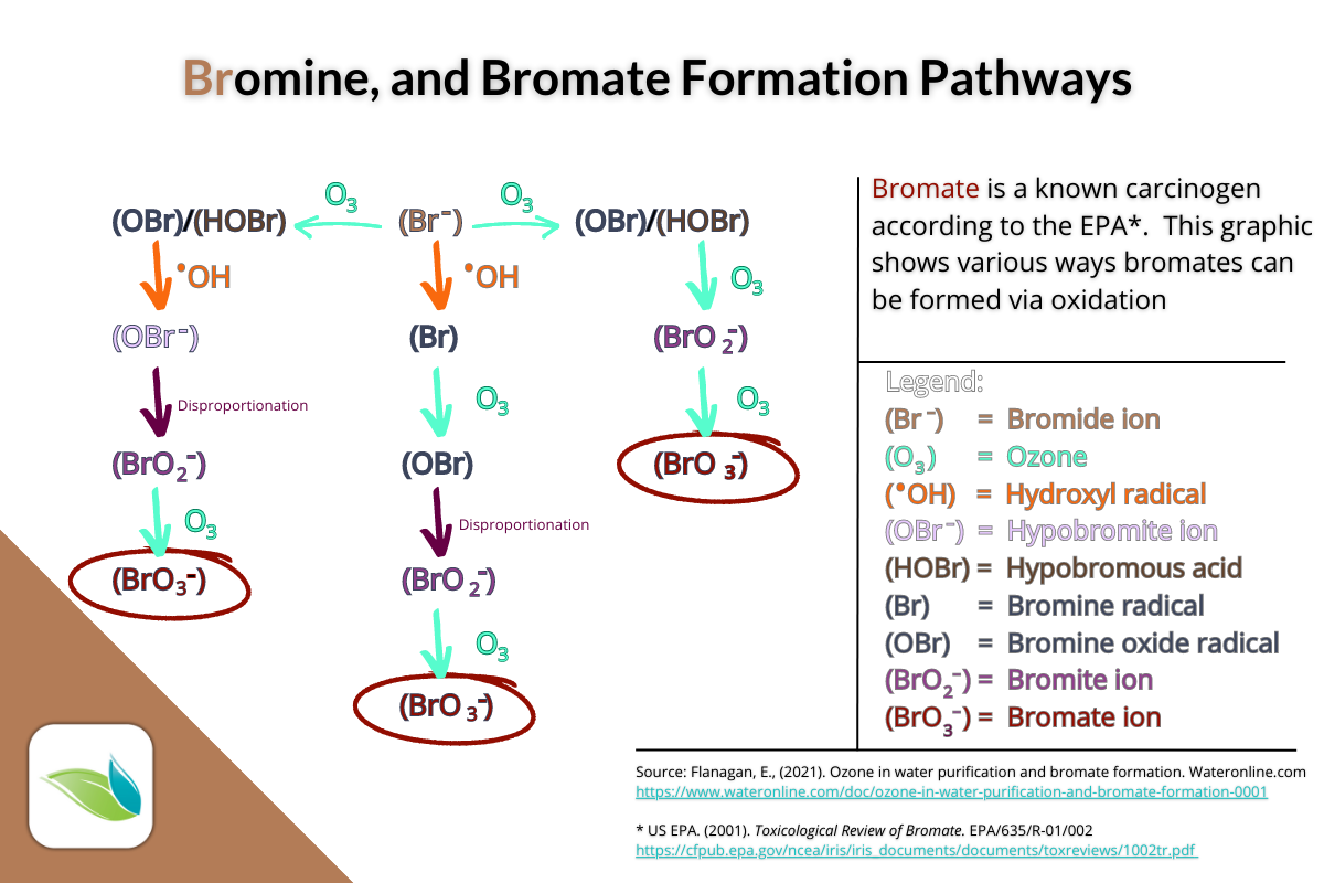 Chlorine vs. Bromine in Indoor Pools